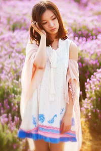 猎鹰前传之英雄