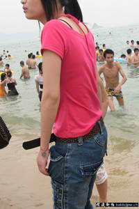 安狗狗清理大师